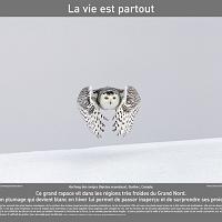 P2007 01LaVieEstPartout 